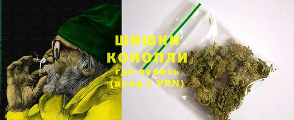 PSILOCYBIN Новозыбков