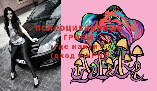хмурый Нязепетровск