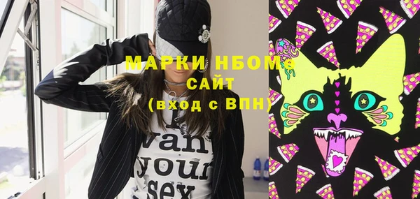 дурь Няндома