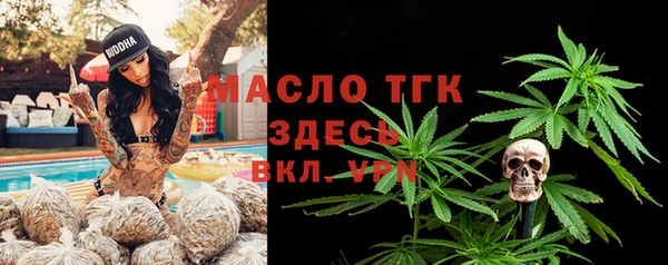 дурь Няндома