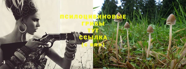 PSILOCYBIN Новозыбков