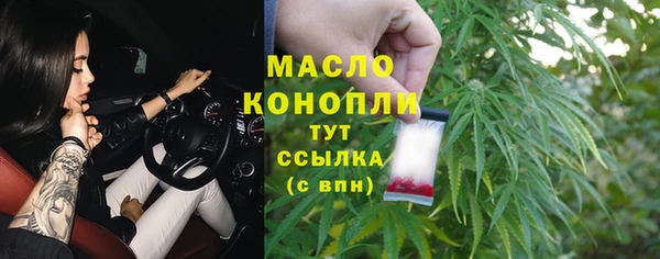 дурь Няндома