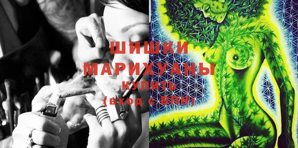 мдма Новодвинск