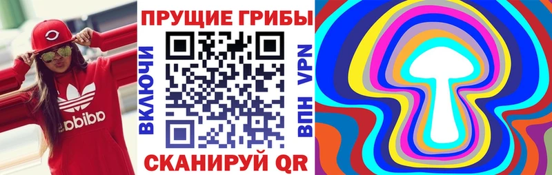 Купить закладки  Среднеколымск  Псилоцибиновые грибы Cubensis 